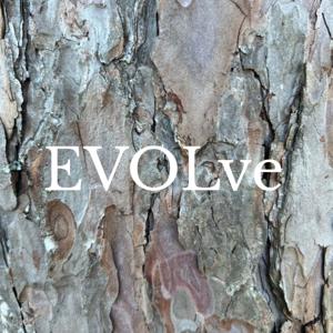 Evolve Love