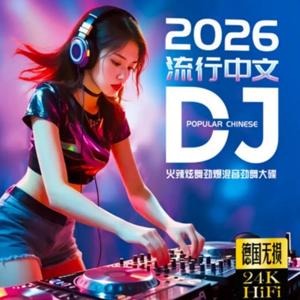 顶级中文DJ