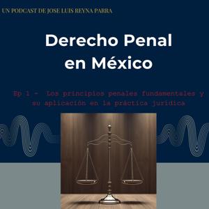 Derecho Penal en México