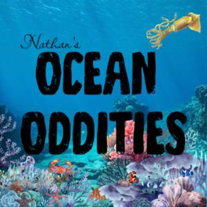 Ocean Oddities