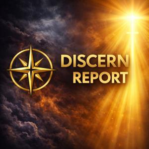 Discern Report