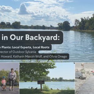 Outdoor Sylvania Community Parks