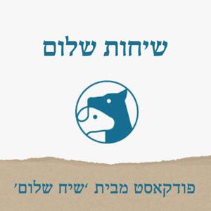 שיחות שלום