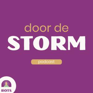 Door de storm