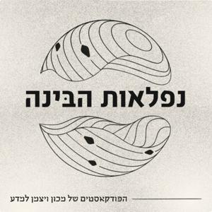 נפלאות הבינה