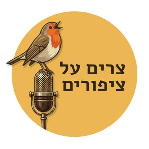צרים על ציפורים