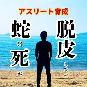 りいどのアスリート育成