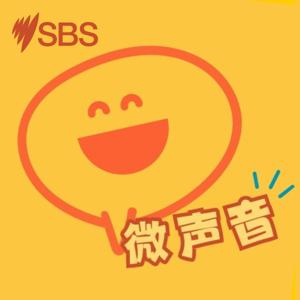 微声音