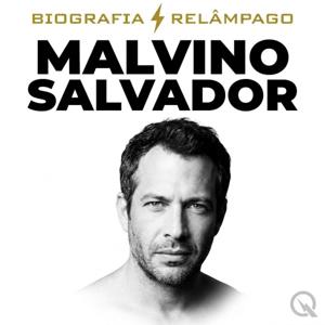 Malvino Salvador - Biografia Relâmpago