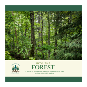 Into the Forest - Navigating Midlife Careers and Life