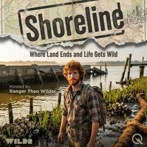 Shoreline