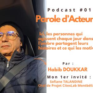 Parole d'Acteurs de l'aire urbaine"Belfort, Montbeliard,.."