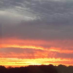 Journey Through The Psalms