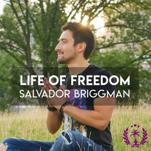 Spiritual Development: Mindfulness, Consciousness, Meditation | Life of Freedom