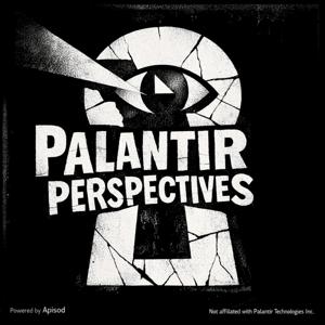 Palantir Perspectives