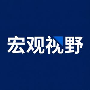 宏观视野