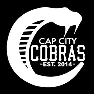 Cobra's Fantasy Baseball Update