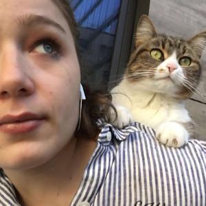 Cats Never Die
