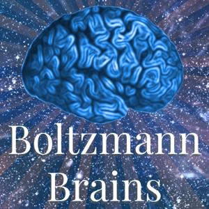 The Boltzmann Brains