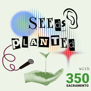 Seeds Planted with 350 Sacramento