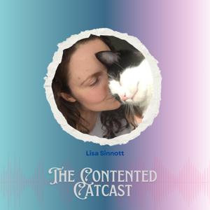 The Contented Catcast 😸