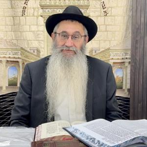 שיעורי חסידות על פרשת השבוע | הרב תמיר קסטיאל