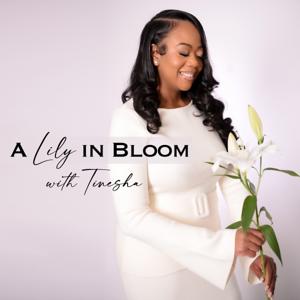 A Lily in Bloom
