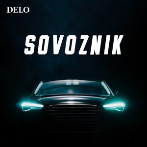 Sovoznik