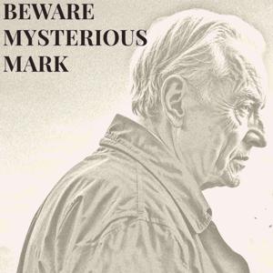 Beware Mysterious Mark - A True Account of Elder Financial Abuse