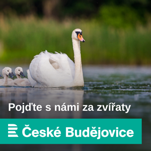 Pojďte s námi za zvířaty