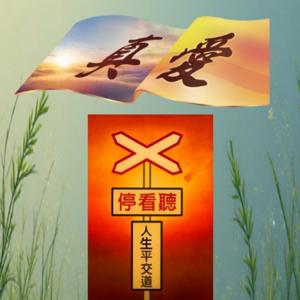 真愛停看聽