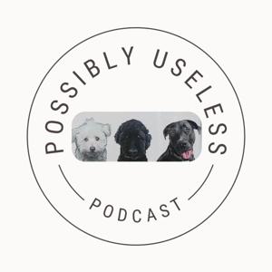 Possibly Useless Podcast