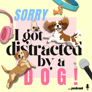 Sorry, I got distracted by a dog…podcast!