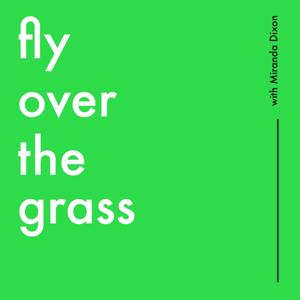 Fly Over The Grass