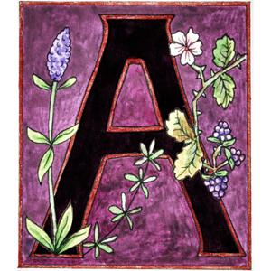 Antithesis Press Podcast