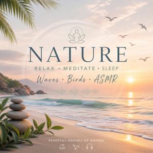 Deep Sleep Meditation Music 🌙 Relaxing Ocean Waves, Birds Singing & Nature Sounds | Stress Relief, Study, Healing, ASMR Ambience