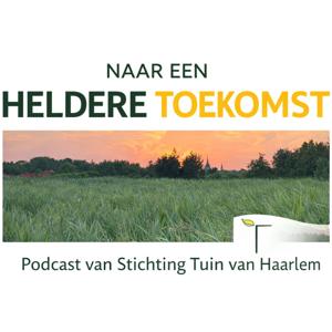 Naar een heldere toekomst