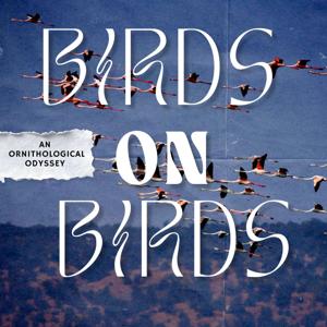 Birds on Birds