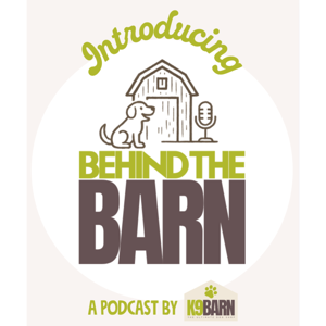 Behind The Barn