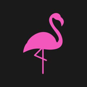 How We’re Building Flamingo