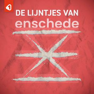 De lijntjes van Enschede