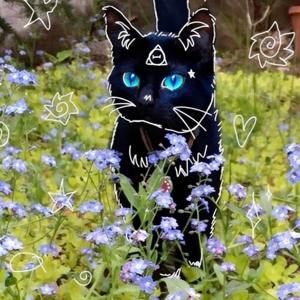 ✨🐈⬛Therian Podcast mit Calypos🐈⬛✨