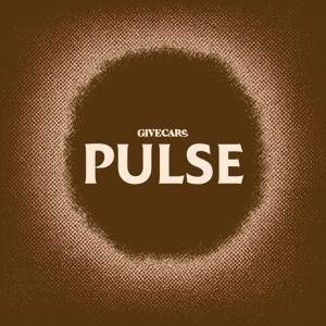 GiveCare Pulse