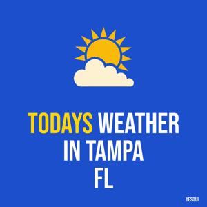 Todays weather in Tampa FL