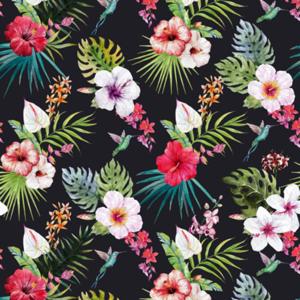 Random Comments With Caleb