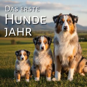 Das erste Hundejahr - vom Welpen durch die Pupertät