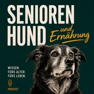 Seniorenhunde & Ernährung