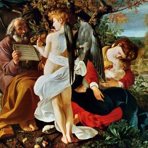 Leggere Amare Vivere