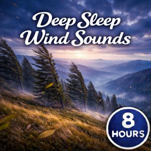 Deep Sleep Wind Sounds