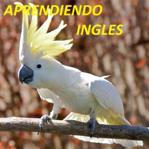 Evidencia GA4-240202501-AA1-EV02. Audio.